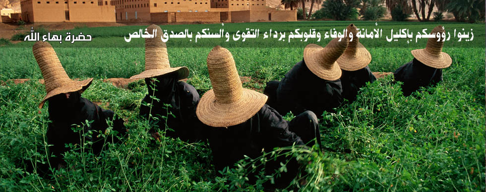 مساهمة البهائيين في بناء مجتمع أفضل