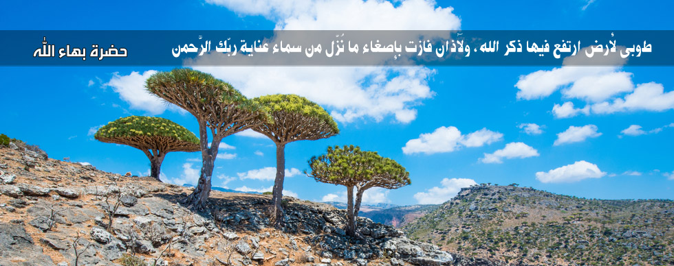 مساهمة البهائيين في بناء مجتمع أفضل